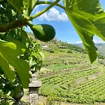 Quinta De Sobre A Fonte Charming - Traditional Winery Διαμέρισμα