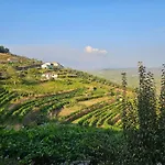Quinta De Sobre A Fonte Charming - Traditional Winery Διαμέρισμα *