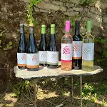 Quinta De Sobre A Fonte Charming - Traditional Winery