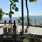 Quinta De Sobre A Fonte Charming - Traditional Winery Διαμέρισμα Fontelas