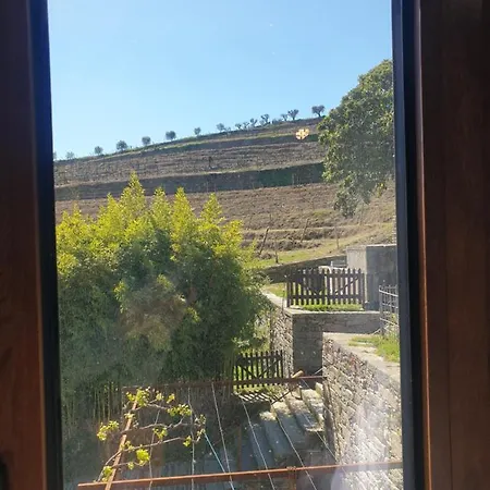 Quinta De Sobre A Fonte Charming - Traditional Winery דירה