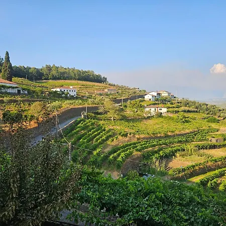 Quinta De Sobre A Fonte Charming - Traditional Winery Fontelas