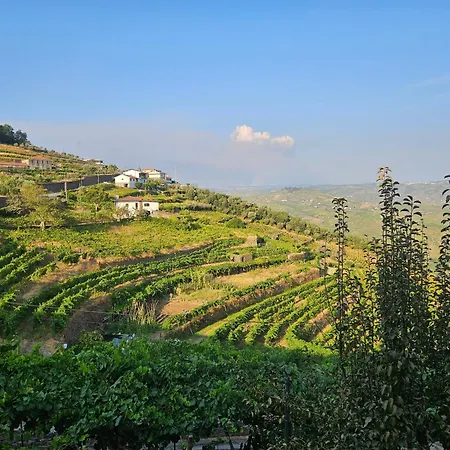 Quinta De Sobre A Fonte Charming - Traditional Winery アパート *