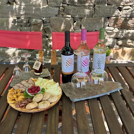 Quinta De Sobre A Fonte Charming - Traditional Winery Fontelas