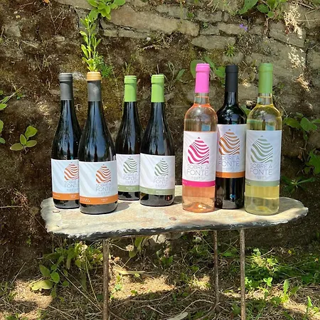 Quinta De Sobre A Fonte Charming - Traditional Winery
