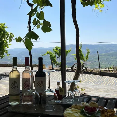 Quinta De Sobre A Fonte Charming - Traditional Winery דירה Fontelas