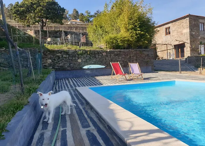 Quinta De Sobre A Fonte Charming - Traditional Winery Fontelas