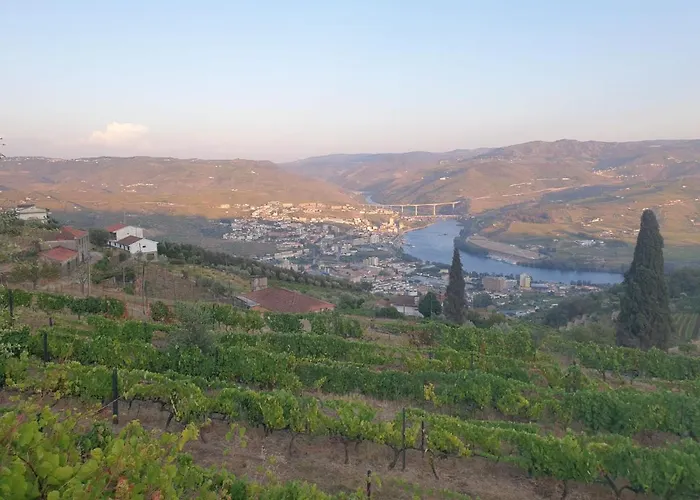 Quinta De Sobre A Fonte Charming - Traditional Winery Fontelas