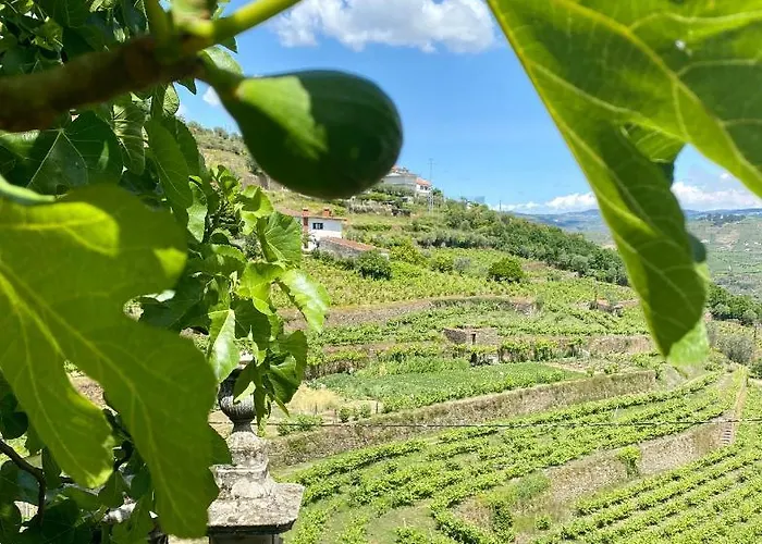 Quinta De Sobre A Fonte Charming - Traditional Winery דירה
