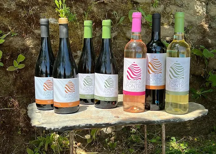 Quinta De Sobre A Fonte Charming - Traditional Winery