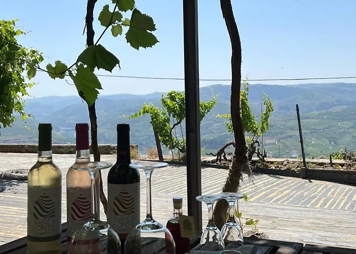 Quinta De Sobre A Fonte Charming - Traditional Winery Apartment Fontelas